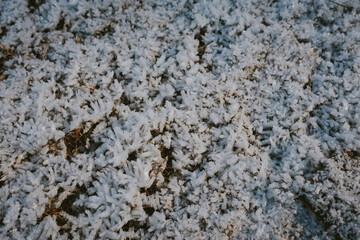 texture background
