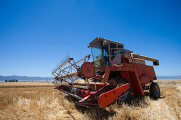 Fototapeta na wymiar Wide angle view of a combine harvester harvesting wheat on a wheat field on a farm in the Swartland in the Western Cape of South Africa