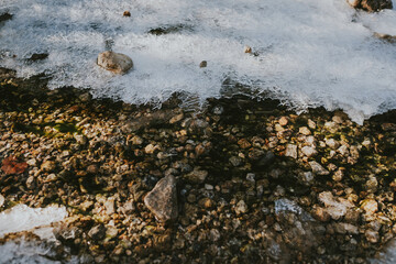 seaweed on the beach