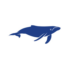 Whale design vector, Creative Whale illustration template