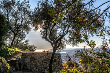 Panorama et coucher de soleil sur la baie des anges à Nice depuis le parc du Vinaigrier avec un arbre et un mur en pierres