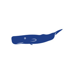 Whale design vector, Creative Whale illustration template