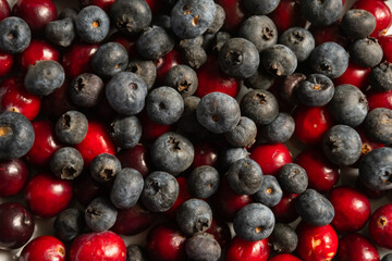 Close-up of blueberries and cranberries