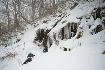 みなかみ町氷柱