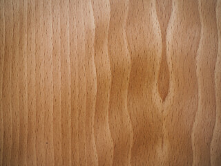 Brown natural wood texture. Abstract background. Copy space