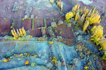 Spain, Cuenca, Wicker cultivation in Canamares in autumn