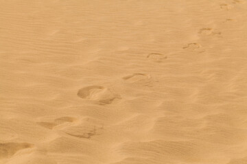 Fototapeta na wymiar Yellow desert sand with footprints on it.