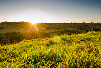 sunset over field grass spring mountais contryside nature brazil / por do sol em igarape minas...
