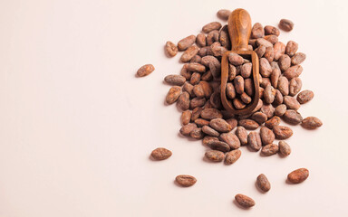 Cocoa beans in a wooden scoop on a pink background. Cocoa product. Copy space.
