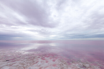 Quiet scene of pink water of salt lake.