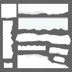 Torn paper vector cartoon set isolated on a transparent background.