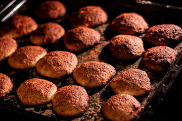 Homemade sweet cookies in stove. Baking cookies in bakery oven.  Cozy and warm home concept.