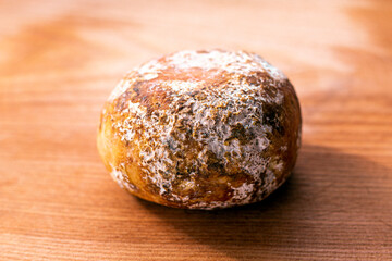 Georgian traditional cheese -  Dambalkhacho. Traditionally Pshavian delicious chees from country Georgia, Caucasus.