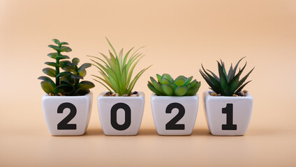 Inscription 2021 on white ceramic flowerpots with houseplants. New ideas in the new year. Merry Christmas and happy new year concept.