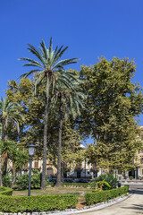 Fototapeta premium Park Villa near Cathedral of Palermo - 30,000 m2 Public Park founded in second half of XIX century. Park Villa characteristic are lush palm trees. Palermo, Sicily, Italy.