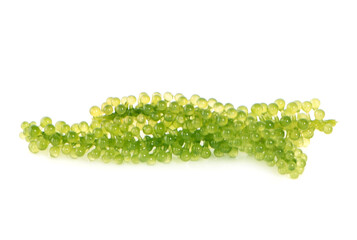 Sea grapes ( green caviar ) seaweed on white background