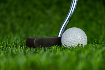 Golf ball with putter on green grass
