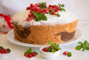 christmas chiffon cake with chocolate, powdered sugar, currant and mint
