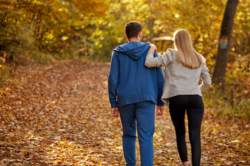 Fototapeta premium rear view on romantic young couple enjoying walk in the autumn sunny forest, contemplating the nature, yellow trees around. hiking, autumn forest, walking, love concept