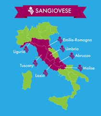 Italian winemaking regions of sangiovese grape vector illustration