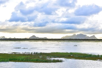 Nature Scenery of Thale Noi Wetlands in Phatthalung, Thailand
