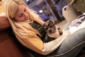 Adorable French Bulldog puppy cuddles on the lap of his young blonde owner