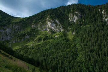 Beautiful scenery with forest and some rocks during sunny summer morning, Malopolskie, Poland