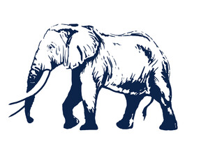 Elephant outline vector image. Blue silhouette on a white background.