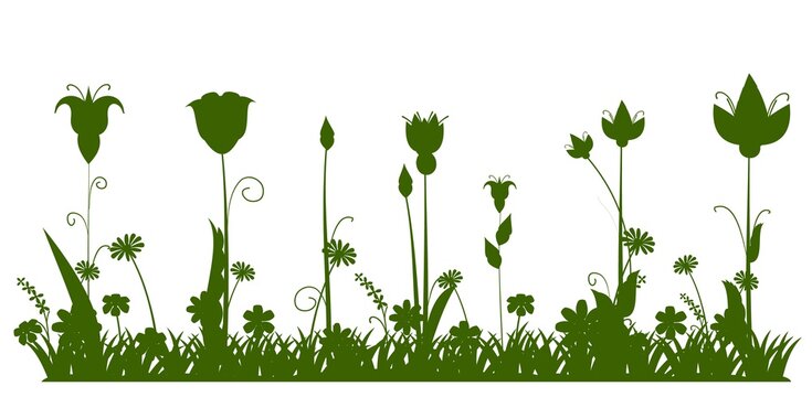 Silhouette of a blooming meadow with grass, flowers. Green landscape. Cartoon style. Fabulous illustration. Background image isolated on white. Beautiful natural view. Wild plants. Rural scene. Vector