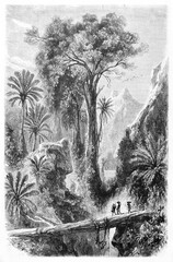 vertical arranged illustration of small people crossing a trunk bridge in Madagascar jungle. Ancient grey tone etching style art by B�rard, Le Tour du Monde, 1861 © Mannaggia