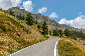 Winding road between pines, valleys and rocky mountains, Col de la Lombarde, border between Italy and France, commune of Vinadio, Piedmont region, province of Cuneo, Italy