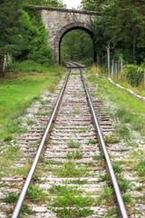 Obraz premium erspective of train track in parallel, with arched stone bridge in the background and trees on the side, commune of Touët-sur-Var, Provence-Alpes-Côte d'Azur region, Alpes-Maritimes department, Franc