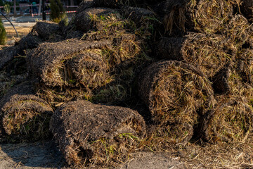 Lawn turf rolls stacked together, grass-plot in the rolls