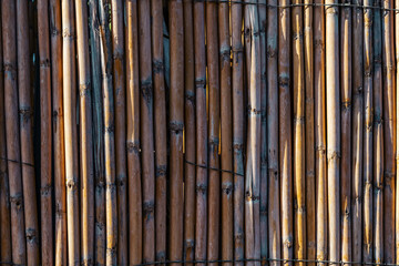 Texture of wooden rods or dry old bamboo sticks. Part of a wall or fence made of natural rustic materials