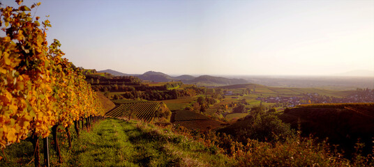 Winzerdorf am Kaiserstuhl