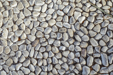 Texture of white sea pebbles cobbled on the sidewalk, close-up. Real pattern of floor paved with natural smooth stones with debris in between, outdoors