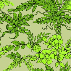 Floral ornament. Plexus of branches and leaves of trees, shrubs and herbs. Decorative and wild flowers. Seamless. Beautiful summer, spring composition. Vector illustration.