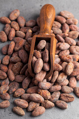 Cocoa beans in a wooden scoop on a gray background. Cocoa product.