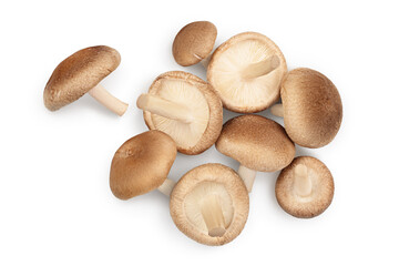 Fresh Shiitake mushroom isolated on white background with clipping path. Top view. Flat lay