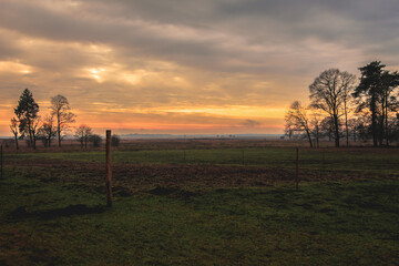 sunset in the forest