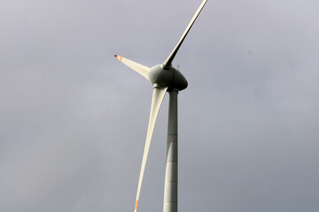 Wind power generating Windmills. Wind turbine.