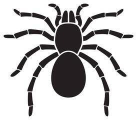 Tarantula Spider (insect) vector icon