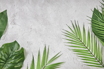 Tropical leaves on grey concrete background. View from above. Horizontal with copy space.