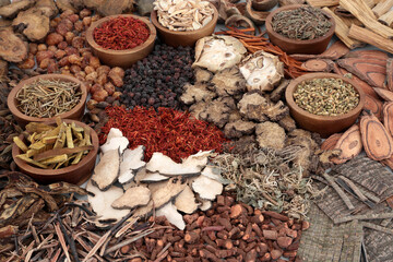 Traditional Chinese herbal medicine collection with dried herbs & spice. Alternative & natural health care concept.