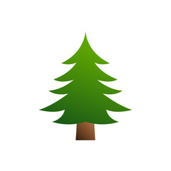 spruce icon vector illustration design