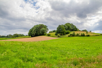 Bavarian Forest scenery