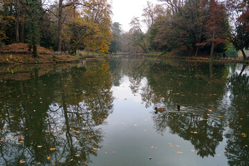 Fototapeta na wymiar panorama del lago reale con riflessi colorati di alberi in autunno, parco di monza, lombardia italia
