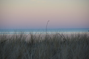 sunset on the beach