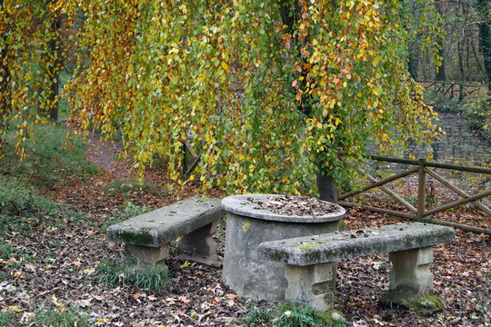 tavolo di pietra per picnic con panchine di granito nel parco in autunno con rami di betulla che gli cadono sopra