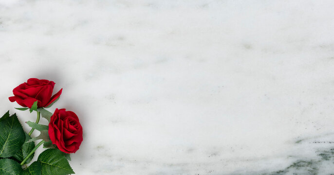 Happy Valentines Day with lovely red rose flowers on natural marble stone